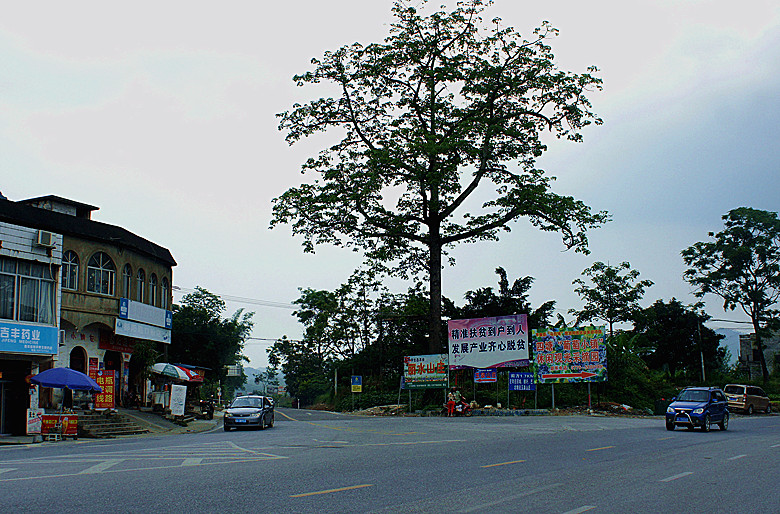 2.都阳村进入坡造街的入口处，右边是去往四塘镇、武鸣方向.JPG