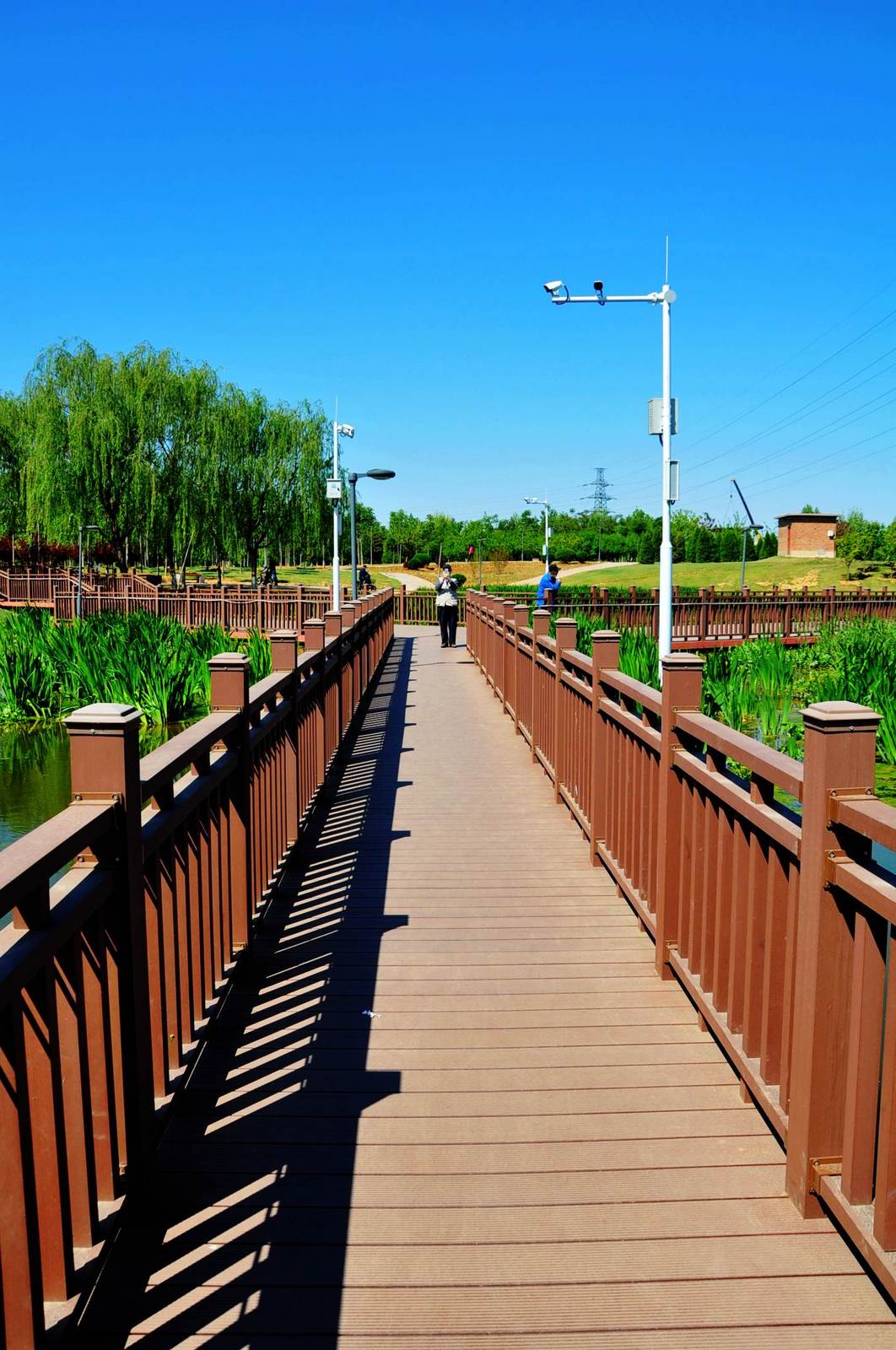 冀南新区石桥湿地公园图片